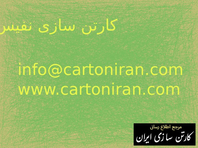 کارتن سازی نفیس